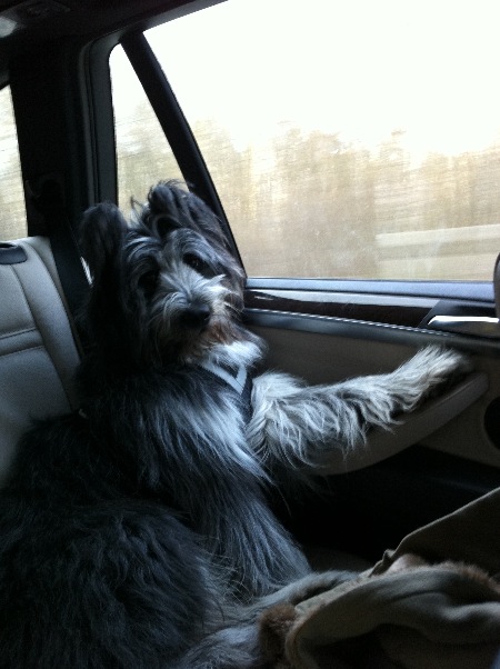Pepper 05.2012