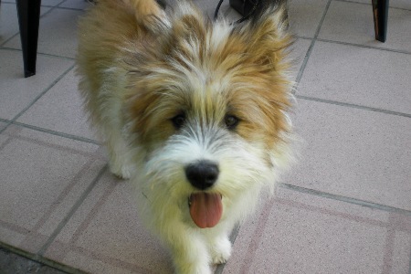 K-Little Bea Rufname Bella