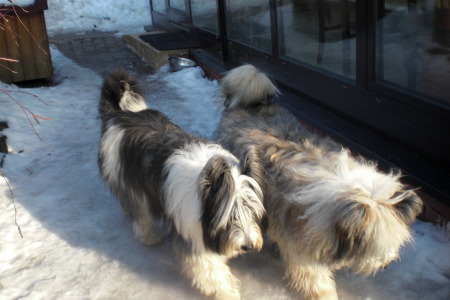 Marnie & Arana re.