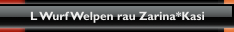 L Wurf Welpen rau Zarina*Kasi
