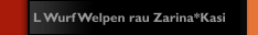 L Wurf Welpen rau Zarina*Kasi