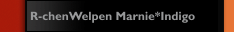 R-chenWelpen Marnie*Indigo